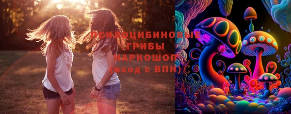 ПСИЛОЦИБИНОВЫЕ ГРИБЫ Алзамай