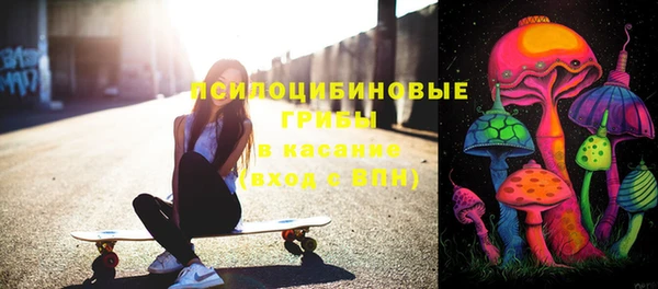индика Алексеевка