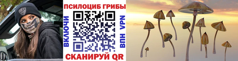 Псилоцибиновые грибы мухоморы Кореновск